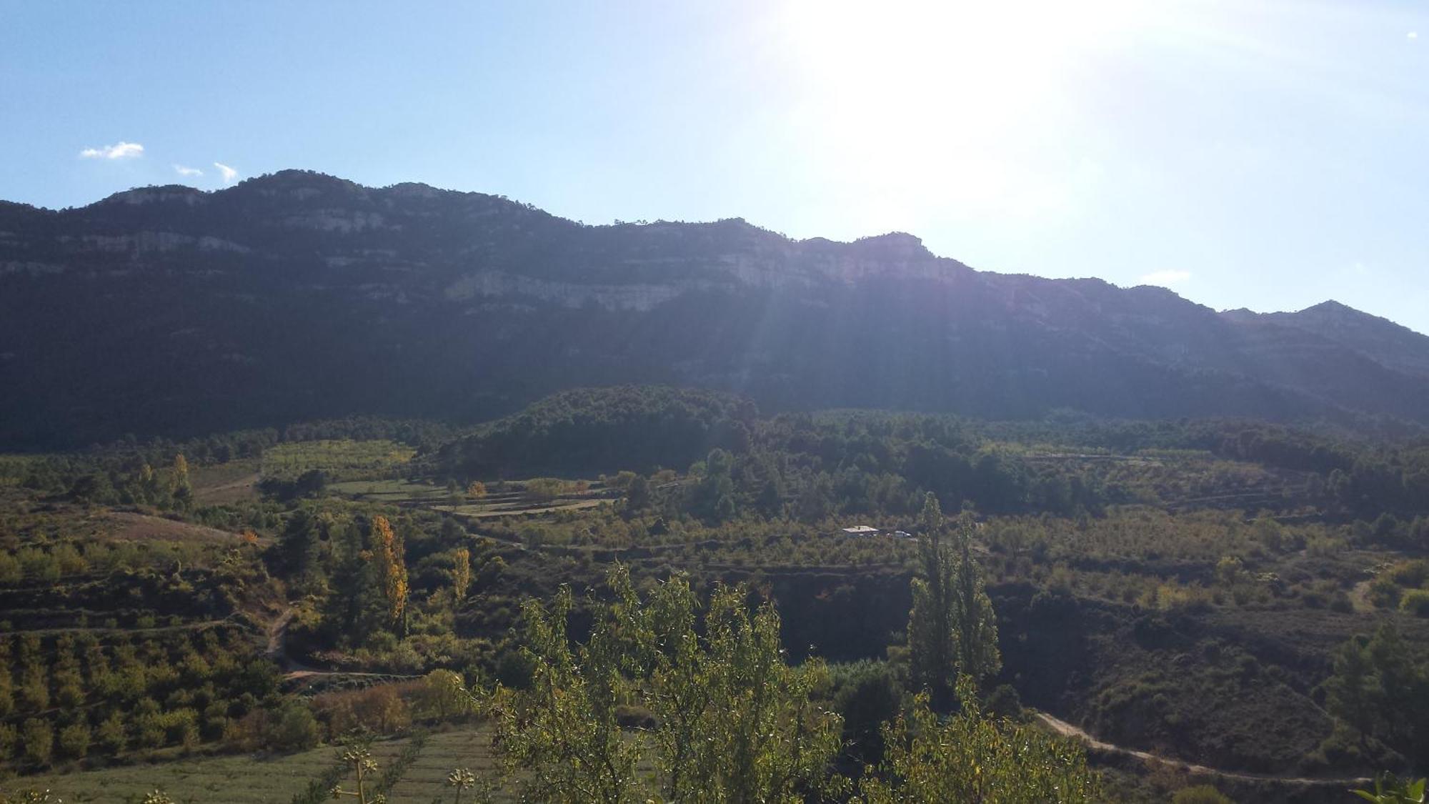 Montsant Park Camping & Bungalow Ulldemolins Екстер'єр фото
