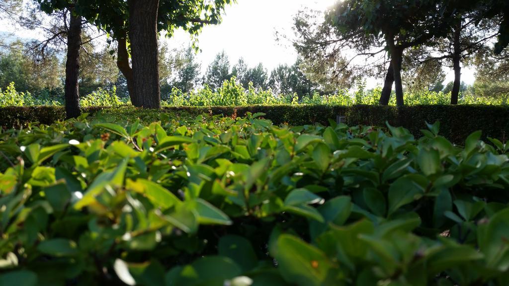 Montsant Park Camping & Bungalow Ulldemolins Екстер'єр фото